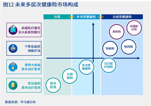 多層次醫(yī)療保障體系下生命科學(xué)企業(yè)的產(chǎn)品準(zhǔn)入布局與信息系統(tǒng)集成服務(wù)